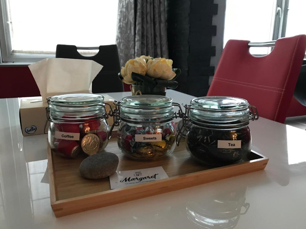 La Forclaz - Centre Ville & Lac, Balcon, Parking 안시 외부 사진